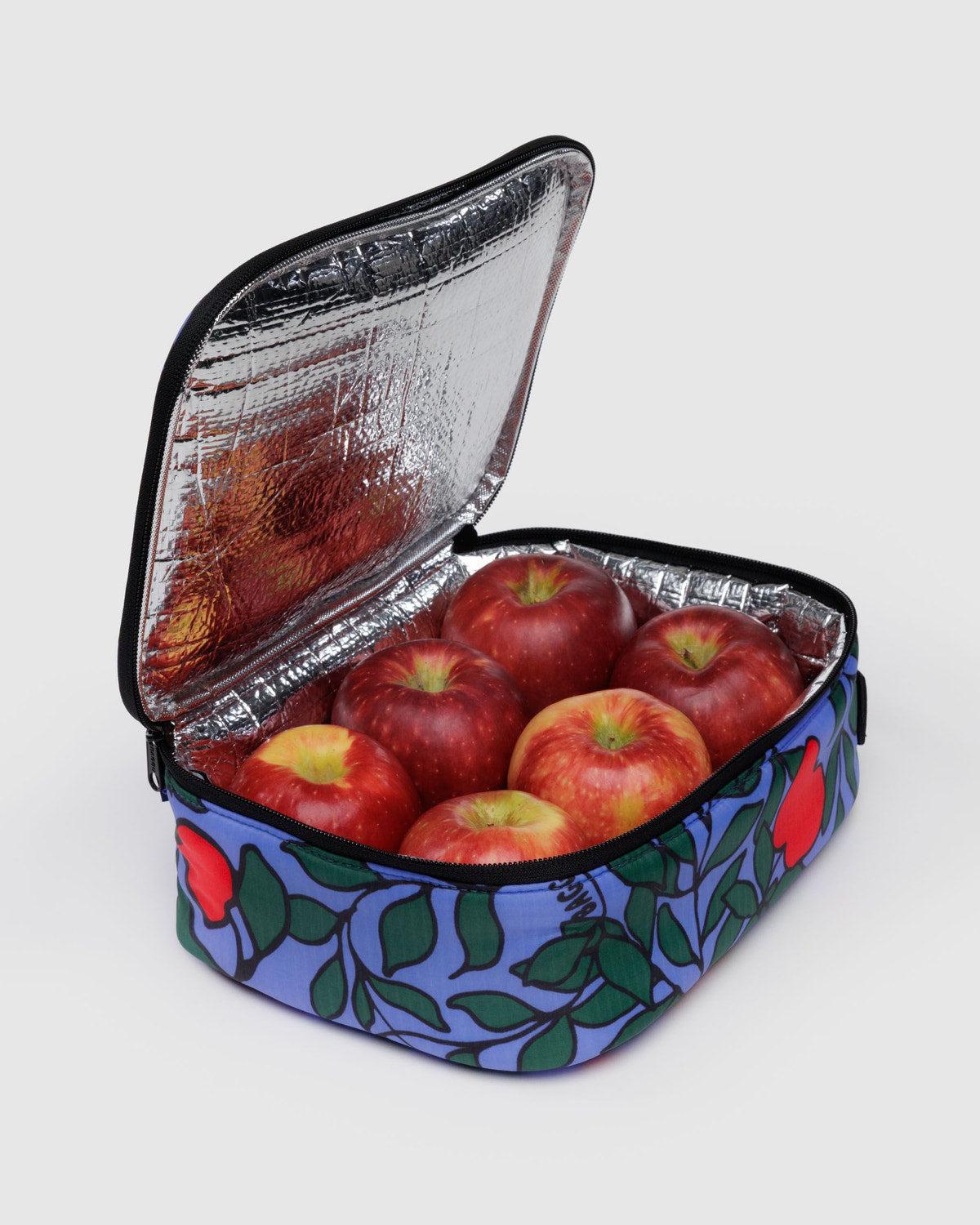 Lunch Box Apple Tree