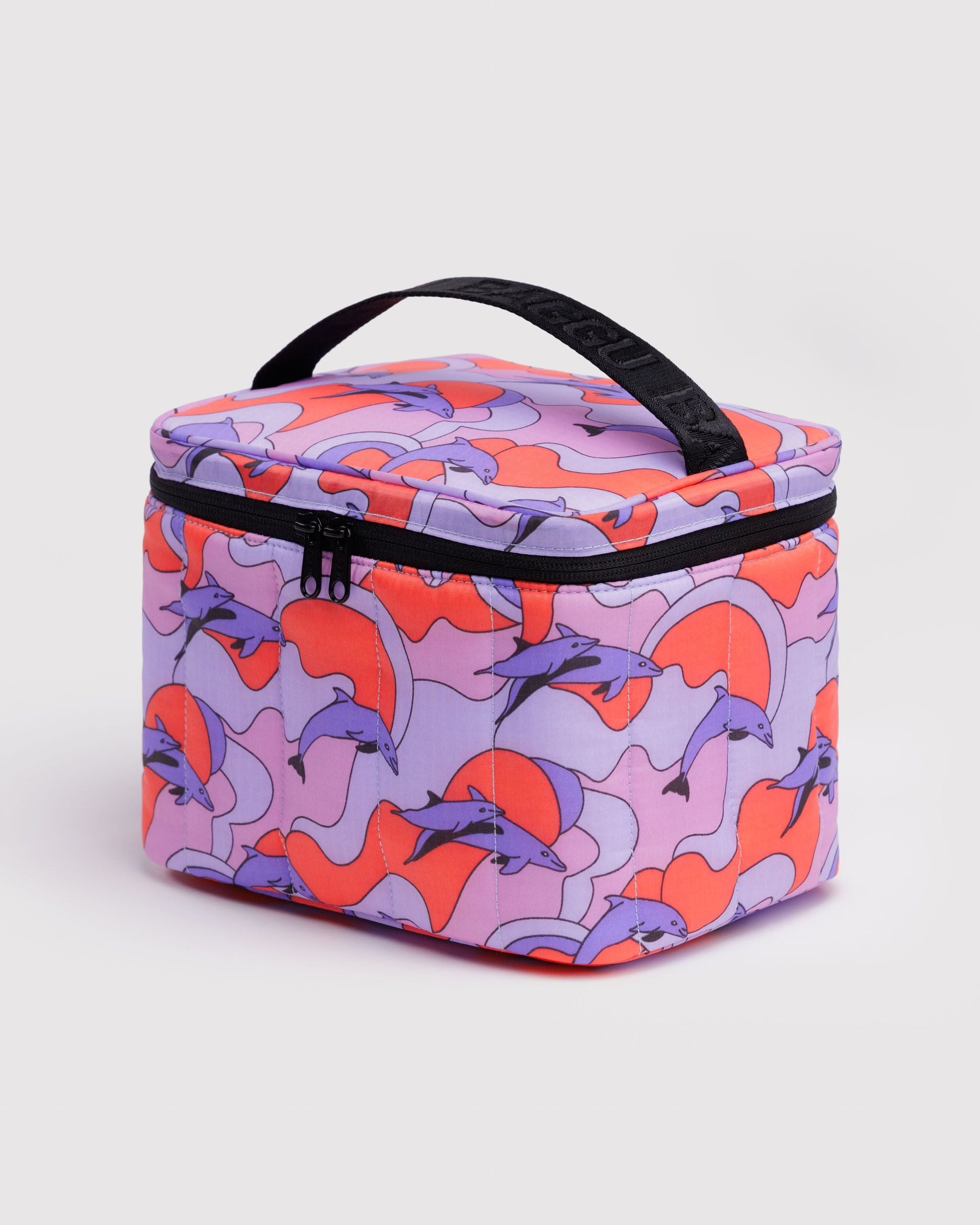 Dolphins
